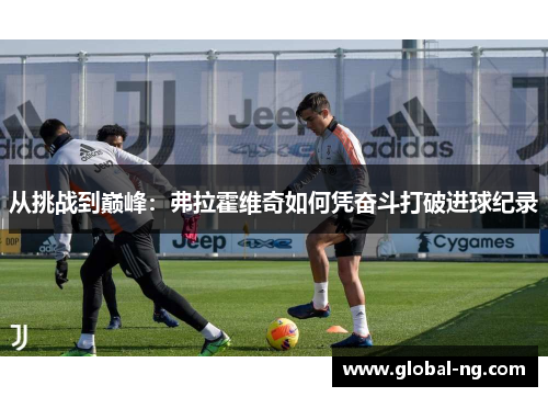 从挑战到巅峰：弗拉霍维奇如何凭奋斗打破进球纪录