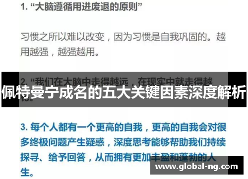 佩特曼宁成名的五大关键因素深度解析