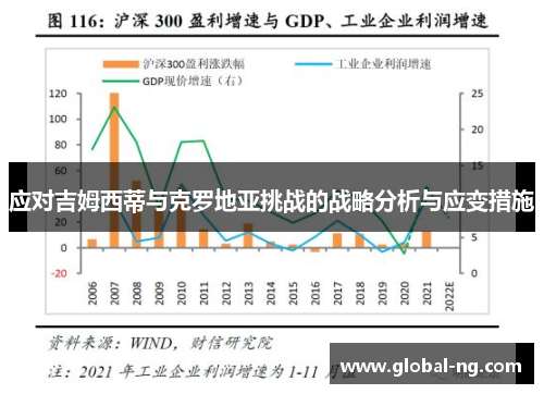 应对吉姆西蒂与克罗地亚挑战的战略分析与应变措施