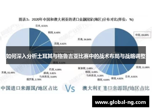 如何深入分析土耳其与格鲁吉亚比赛中的战术布局与战略调整